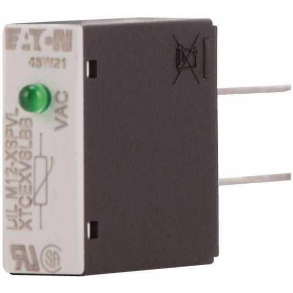Varistor suppressor circuit, 130 - 240 AC V, For use with: DILM7 - DILM12, DILMP20, DILA image 3