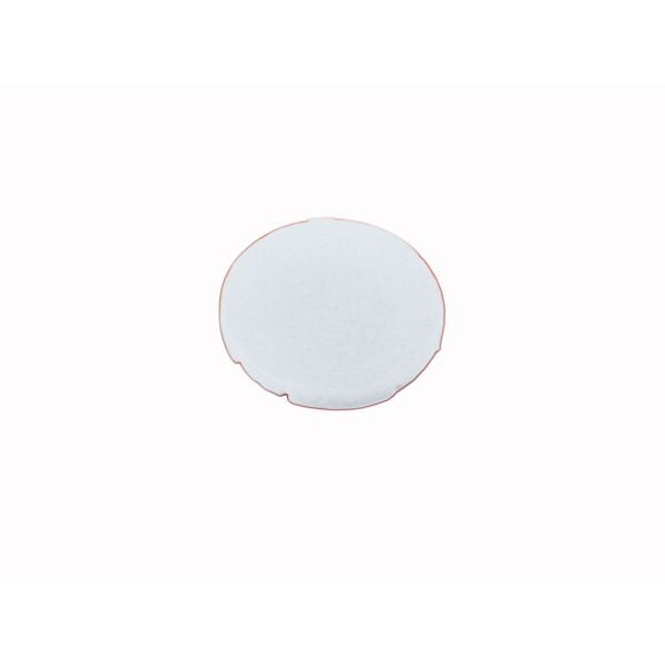 Button plate, flat white, blank image 1