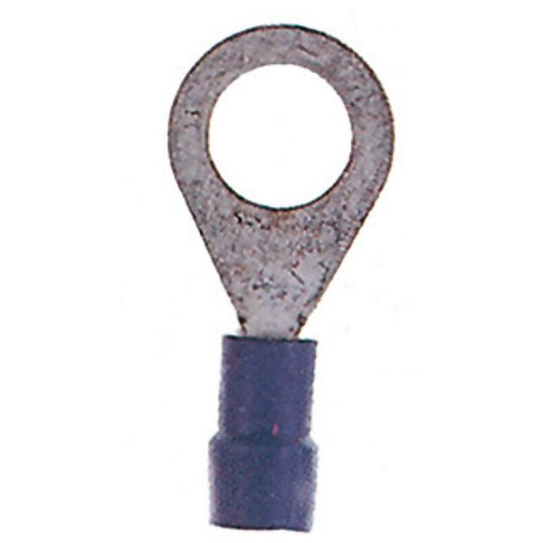 Insulated ring connector terminal M8 blue, 1.5-2.5mmý image 1