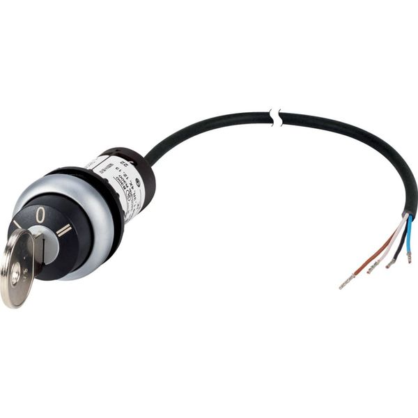 Key-operated actuator, RMQ compact solution, momentary, 1 NC, 1 N/O, Cable (black) with non-terminated end, 4 pole, 3.5 m, 3 positions, MS1, Bezel: ti image 4