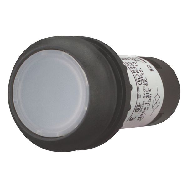 Illuminated pushbutton actuator, Flat, momentary, 1 N/O, Screw connection, LED white, White, Blank, 230 V AC, Bezel: black image 5