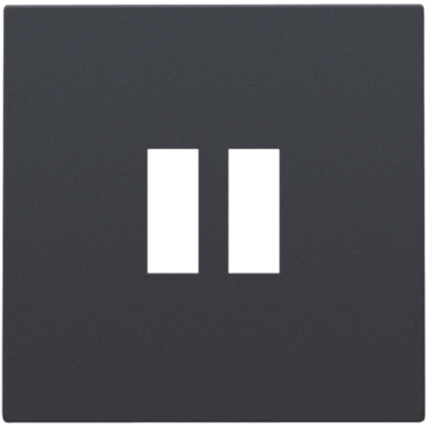 Finishing set for dual USB-A charger, anthracite coated image 1