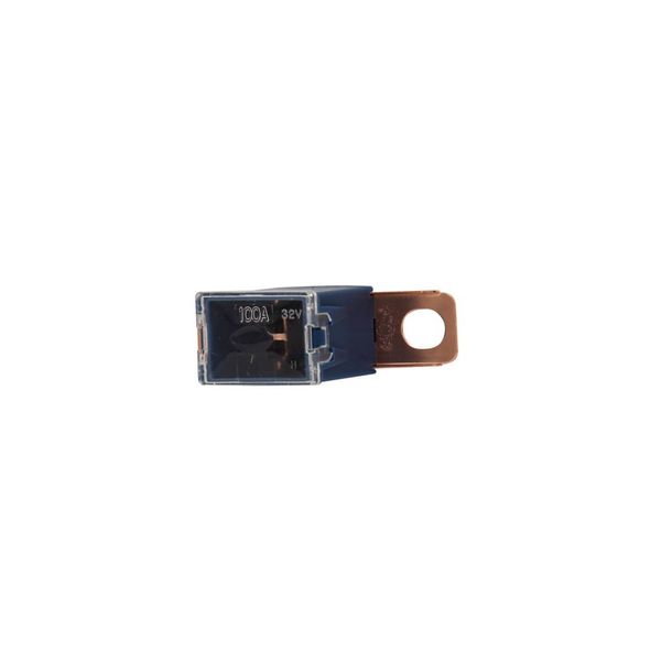 Fuse-link, Overcurrent NON SMD, 100 A image 7