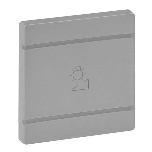 Cover plate Valena Life - regulation symbol - 2 modules - aluminium image 1