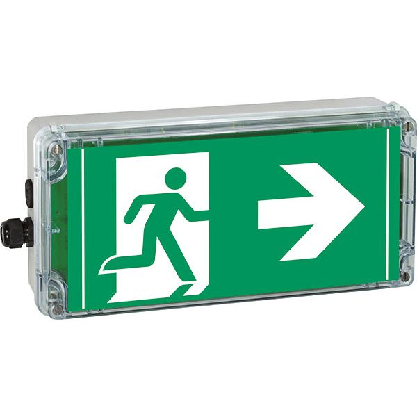 Ex-escape sign luminaires EXIT 2 V-CG-S for zone 2/22, Pictogram: DIN ISO 7010, Arrow: 3 Clock image 3