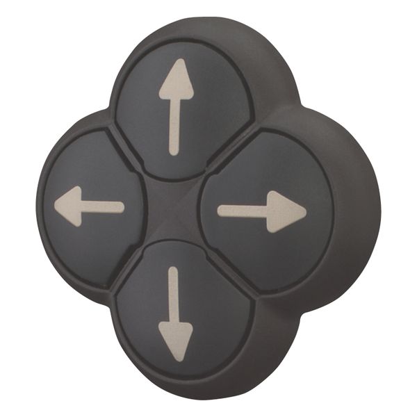 Position pushbutton, RMQ-Titan, Actuators non-flush, momentary, 4-fold, opposing pushbuttons mechanically interlocked, Bezel: black, arrow up image 2