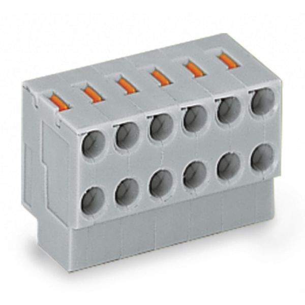 2-conductor female connector push-button PUSH WIRE® gray image 2