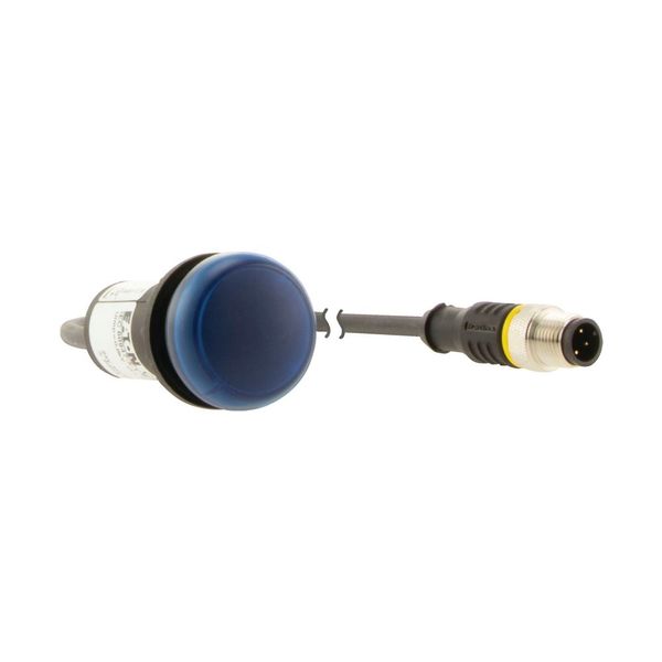 Indicator light, Flat, Cable (black) with M12A plug, 4 pole, 1 m, Lens Blue, LED Blue, 24 V AC/DC image 10