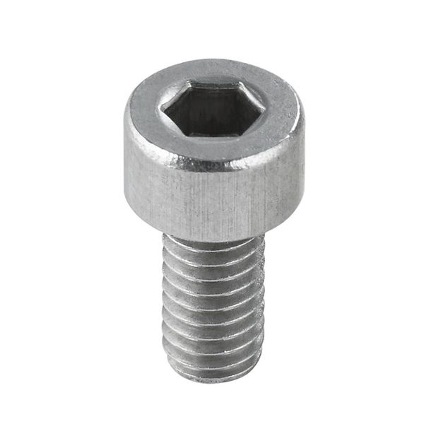 Mounting screw image 1