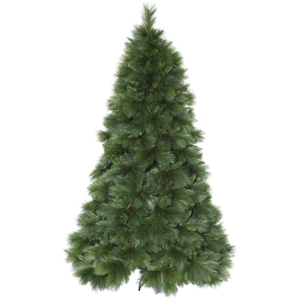 Christmas Tree Cembra image 1