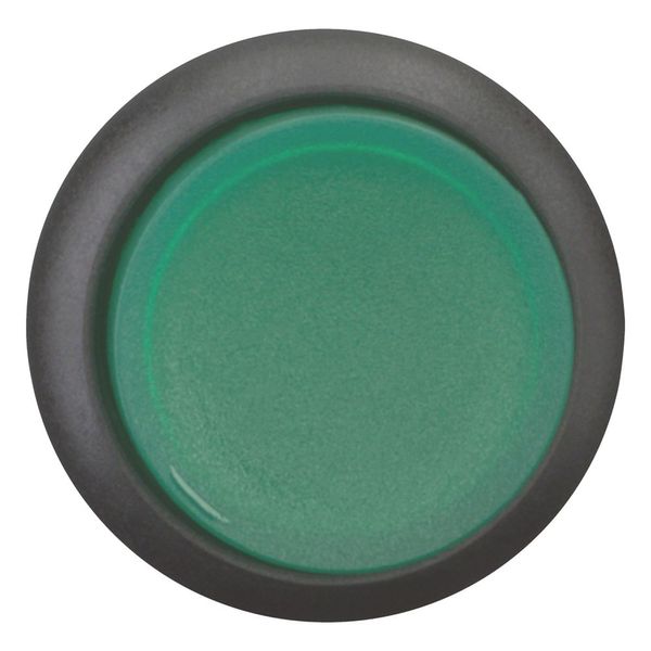 Illuminated pushbutton actuator, RMQ-Titan, Extended, momentary, green, Blank, Bezel: black image 9