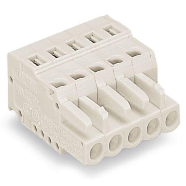 1-conductor female connector CAGE CLAMP® 2.5 mm² light gray image 3