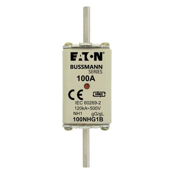 Fuse-link, low voltage, 100 A, AC 500 V, NH1, gL/gG, IEC, dual indicator image 14