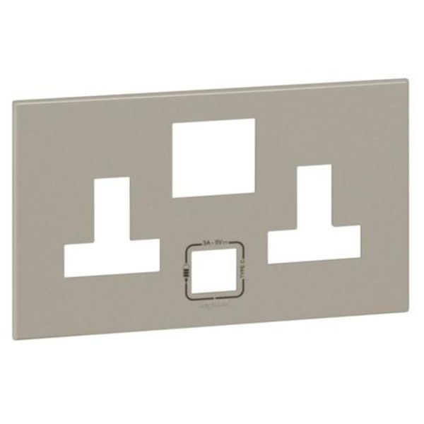 Arteor™ - Plate British standard - for 1 gang single pole switched socket outlet with USB charger - Champagne image 1