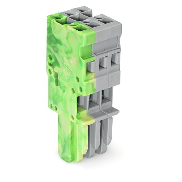 1-conductor female connector CAGE CLAMP® 4 mm² gray, green-yellow image 1