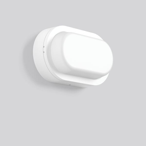 Alu-Lux oval, 12 W, 740 lm, 840, white, on/off Ceiling and wall lumina image 2