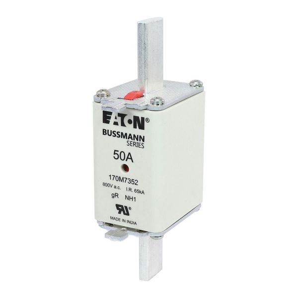 FUSE 50A 800V AC gR SIZE 1 DUAL IND image 18