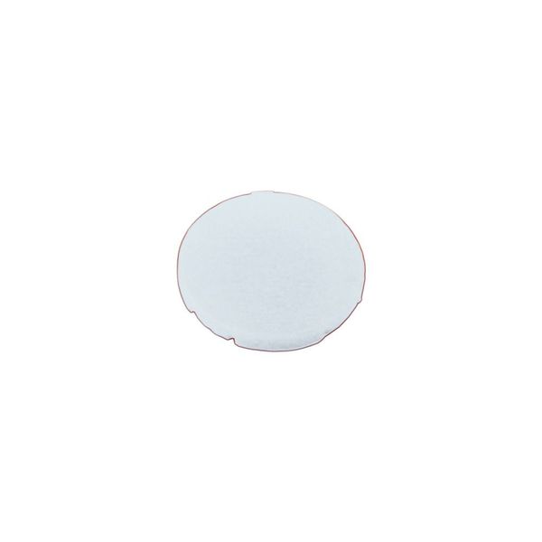 Button plate, flat white, blank image 5