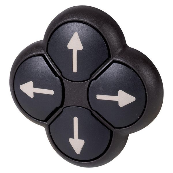 Position pushbutton, RMQ-Titan, Actuators non-flush, momentary, black, 4-fold, opposing pushbuttons not mechanically interlocked, Bezel: black, arrow image 2