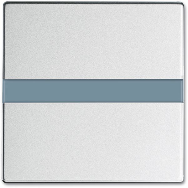 6815-83-101 CoverPlates (partly incl. Insert) Aluminium silver image 1