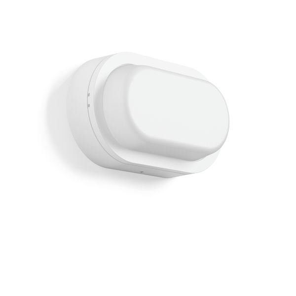 Alu-Lux oval, 12 W, 740 lm, 840, white, on/off Ceiling and wall lumina image 1