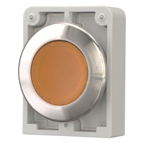 Illuminated pushbutton actuator, RMQ-Titan, flat, maintained, orange, blank, Front ring stainless steel image 6