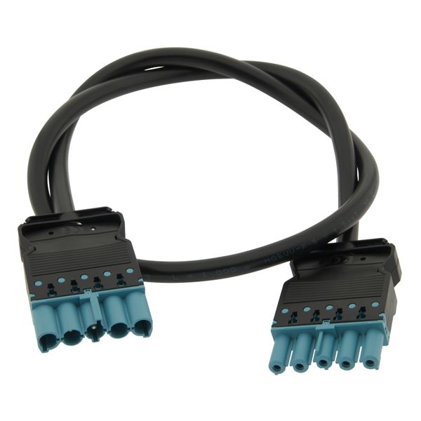 Wieland connection cable 5 pin 1,5mm - 1m, IP20 image 1