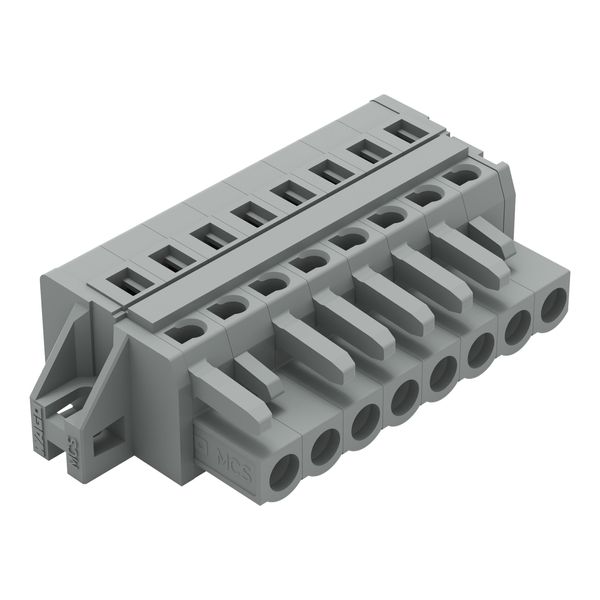 1-conductor female connector CAGE CLAMP® 2.5 mm² gray image 1