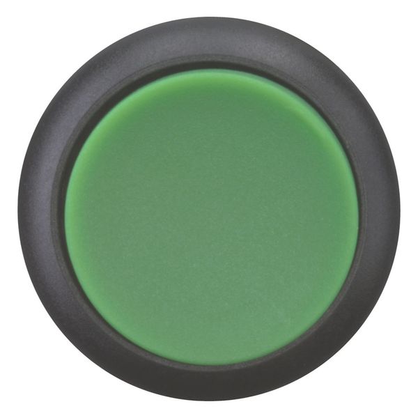 Pushbutton, RMQ-Titan, Extended, momentary, green, Blank, Bezel: black image 4