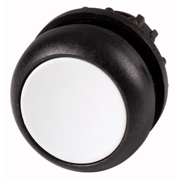 Pushbutton, RMQ-Titan, Flat, momentary, gray, Blank, Bezel: black image 1