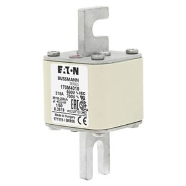 Fuse-link, high speed, 315 A, AC 690 V, DIN 1, 53 x 53 x 108 mm, aR, DIN, IEC, single indicator image 3