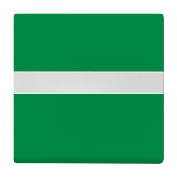 2510 NLI-13-914 CoverPlates (partly incl. Insert) Busch-balance® SI green image 5