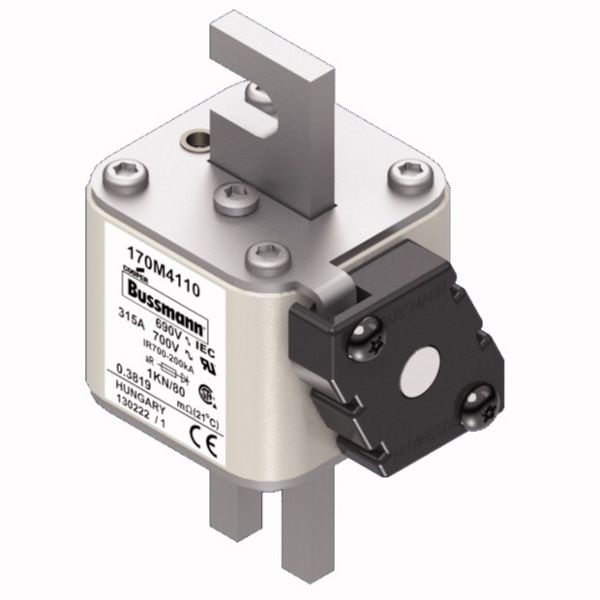 Fuse-link, high speed, 315 A, AC 690 V, DIN 1, 53 x 69 x 108 mm, aR, DIN, IEC, single indicator image 2