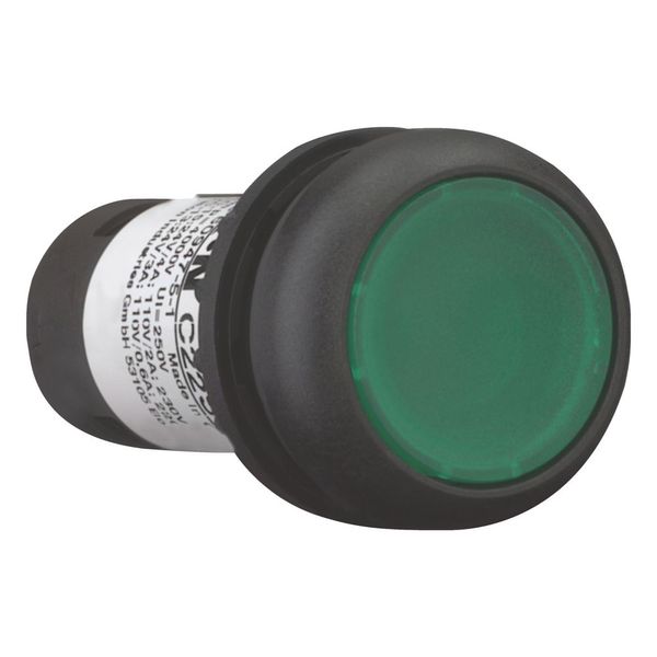 Illuminated pushbutton actuator, Flat, momentary, 1 N/O, Screw connection, LED green, green, Blank, 230 V AC, Bezel: black image 6