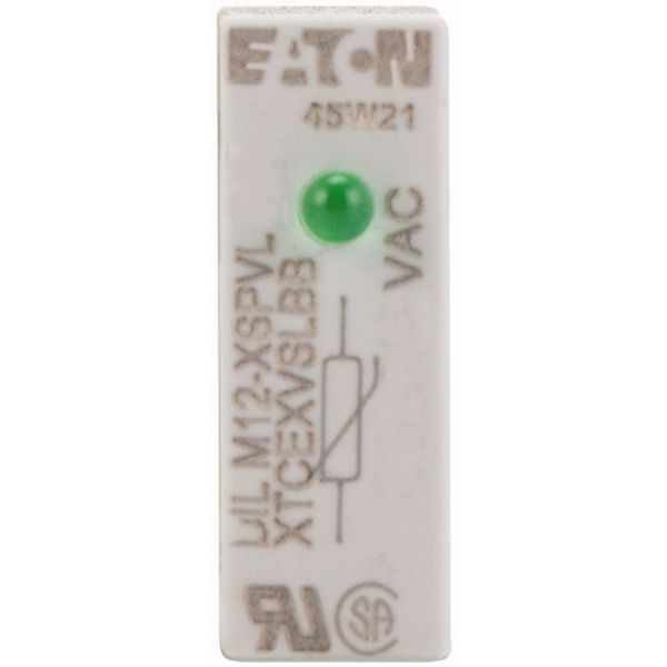 Varistor suppressor circuit, 130 - 240 AC V, For use with: DILM7 - DILM12, DILMP20, DILA image 2