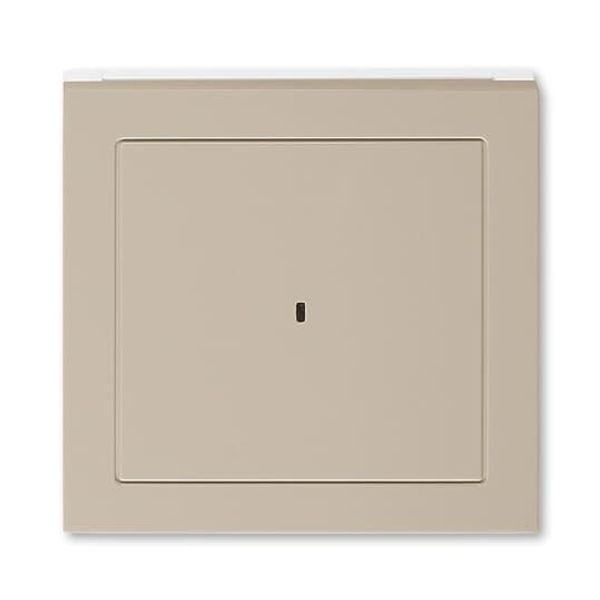 3559H-A00700 18 Card switch cover plate image 1