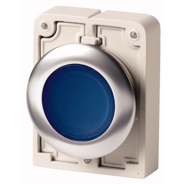 Illuminated pushbutton actuator, RMQ-Titan, flat, momentary, Blue, blank, Front ring stainless steel image 2