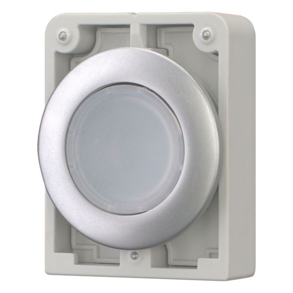 Illuminated pushbutton actuator, RMQ-Titan, Flat, momentary, White, Blank, Metal bezel image 5