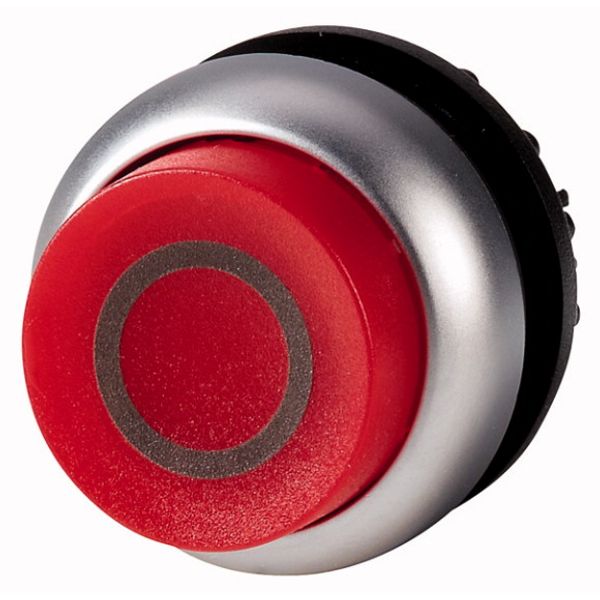 Illuminated pushbutton actuator, RMQ-Titan, Extended, maintained, red, inscribed, Bezel: titanium image 1