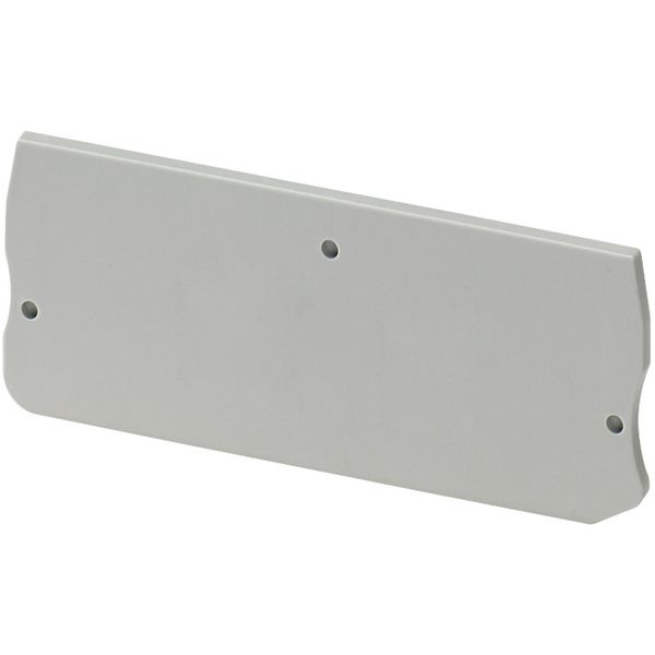 END COVER, 3PTS, 2,2MM WIDTH, FOR PUSH-IN DISCONNECT TERMINAL NSYTRP2 image 1