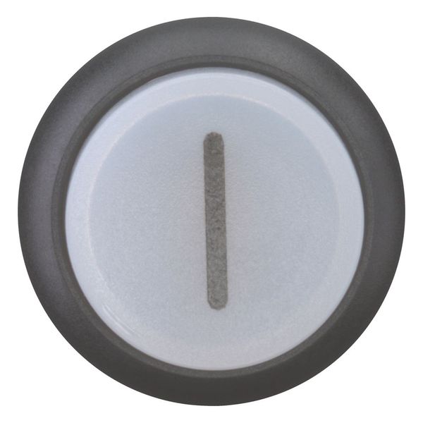 Illuminated pushbutton actuator, RMQ-Titan, Extended, momentary, White, inscribed 1, Bezel: black image 9