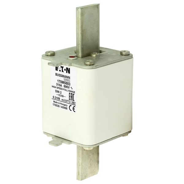 Fuse-link, high speed, 315 A, AC 690 V, DIN 2, 60 x 74 x 150 mm, gR, DIN, IEC, single indicator image 6