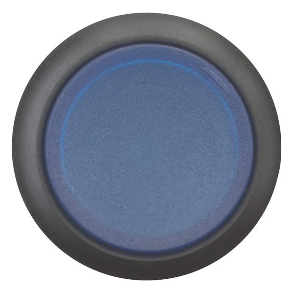 Illuminated pushbutton actuator, RMQ-Titan, Extended, maintained, Blue, Blank, Bezel: black image 4