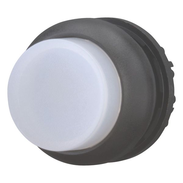 Illuminated pushbutton actuator, RMQ-Titan, Extended, maintained, White, Blank, Bezel: black image 5