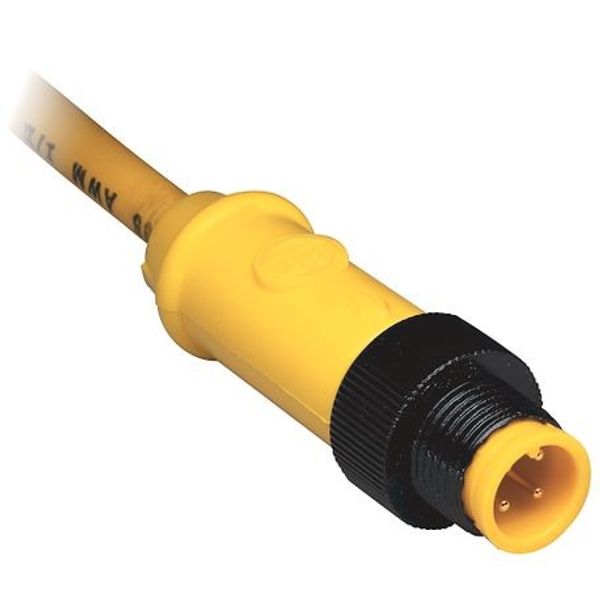 Allen-Bradley 889D-F4AC-7 DC Micro Cable, Female, Straight (Int Threads), Female, Straight (int threads), 4-Pins, Standard Materials, 4-Pins, Cable, No Connector, Cable - IEC Stndrd Color Code, No Connector, Same as First End, PVC Cbl, Yellow image 1