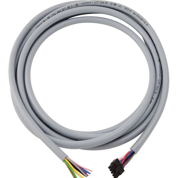 S800-RSU-CP Cable with Plug image 1