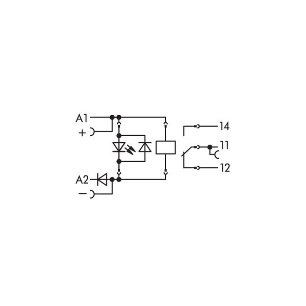Relay module Nominal input voltage: 24 VDC 1 changeover contact gray image 10