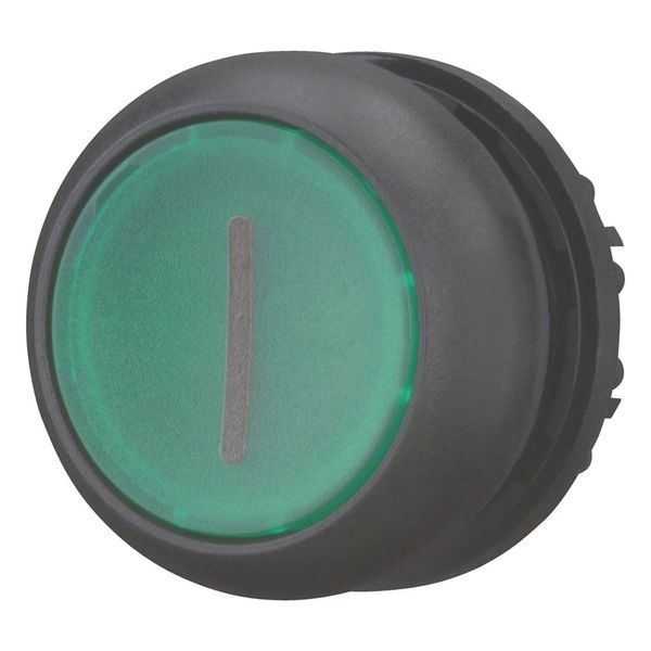 Illuminated pushbutton actuator, RMQ-Titan, Flush, maintained, green, inscribed, Bezel: black image 12