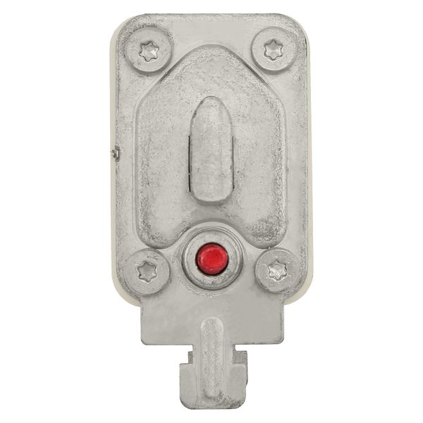 Fuse-link, high speed, 250 A, AC 690 V, DIN 1, 52 x 66 x 135 mm, gR, DIN, IEC, single indicator image 12