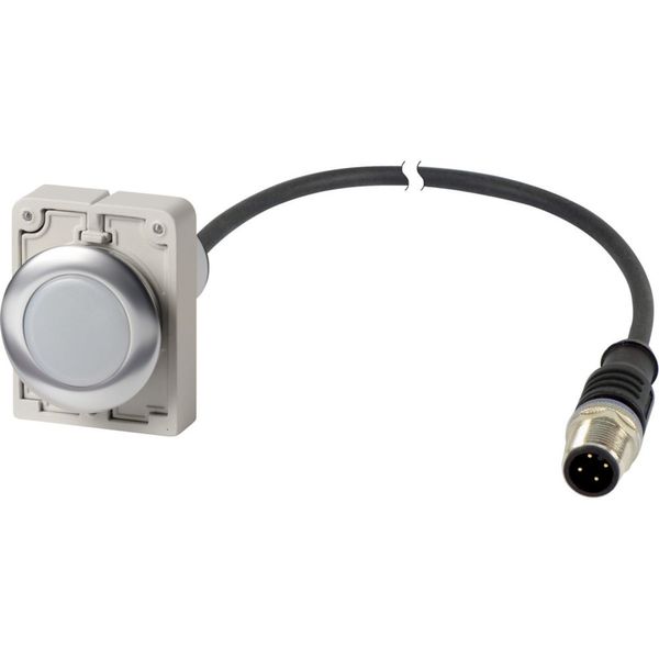 Indicator light, Flat, Cable (black) with M12A plug, 4 pole, 1 m, Lens white, LED white, 24 V AC/DC image 4